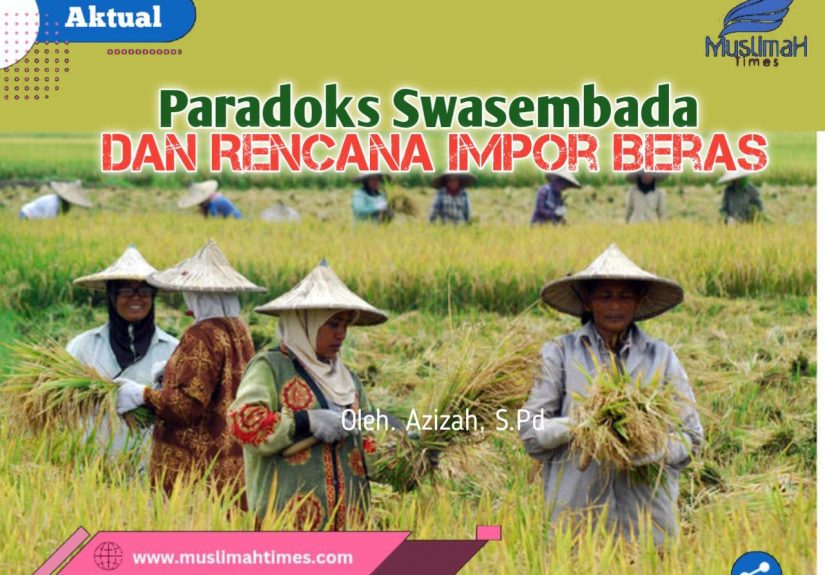 WhatsApp Image 2026-04-08 at 21.24.45