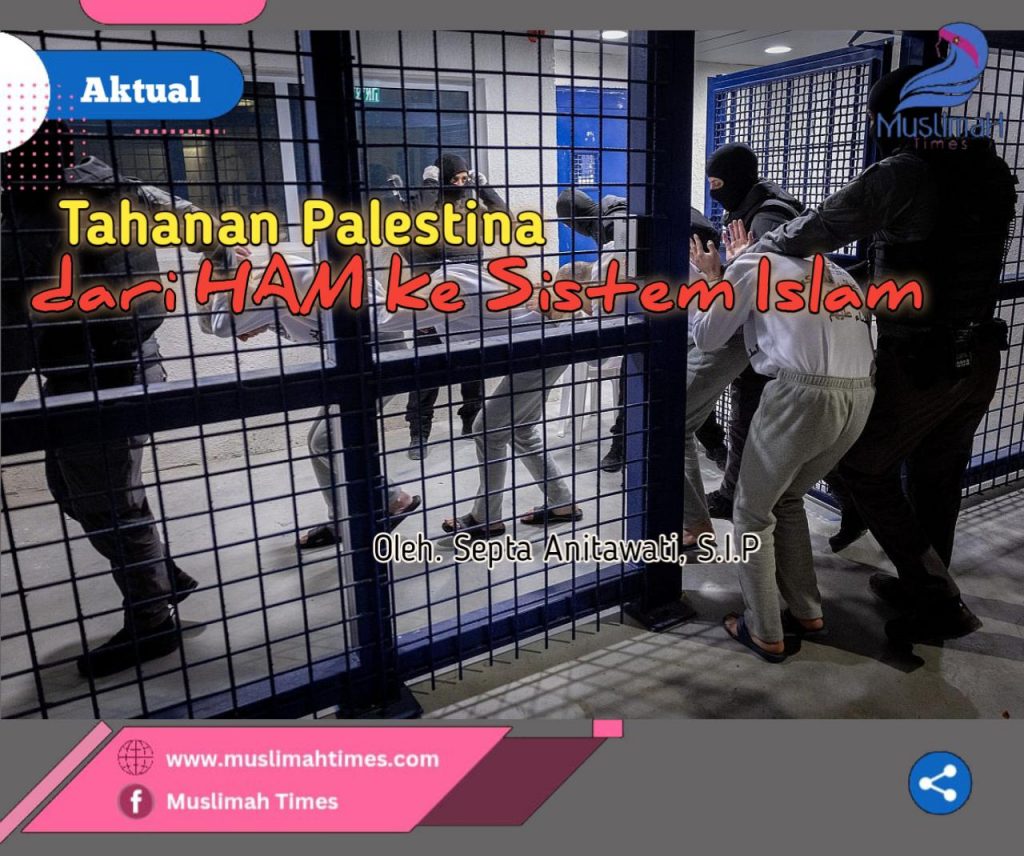 WhatsApp Image 2026-04-28 at 20.42.47