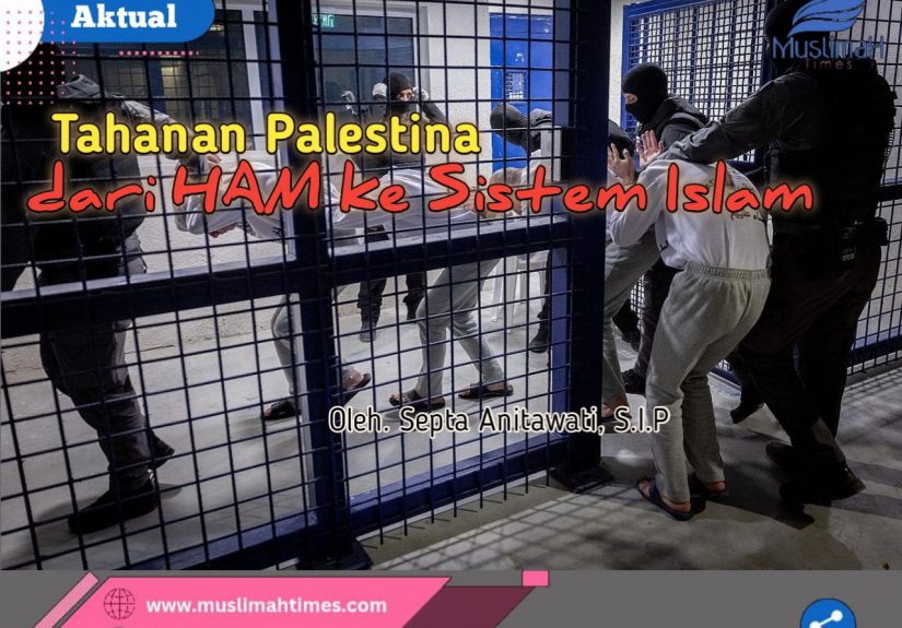 WhatsApp Image 2026-04-28 at 20.42.47