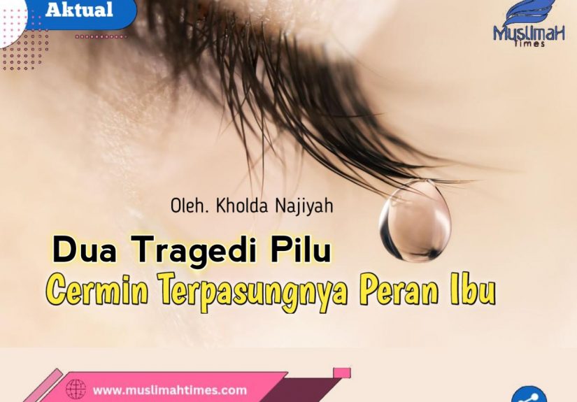 WhatsApp Image 2026-05-12 at 21.07.27