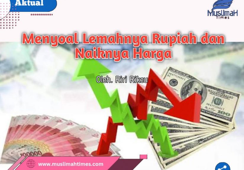 WhatsApp Image 2026-06-02 at 20.42.22