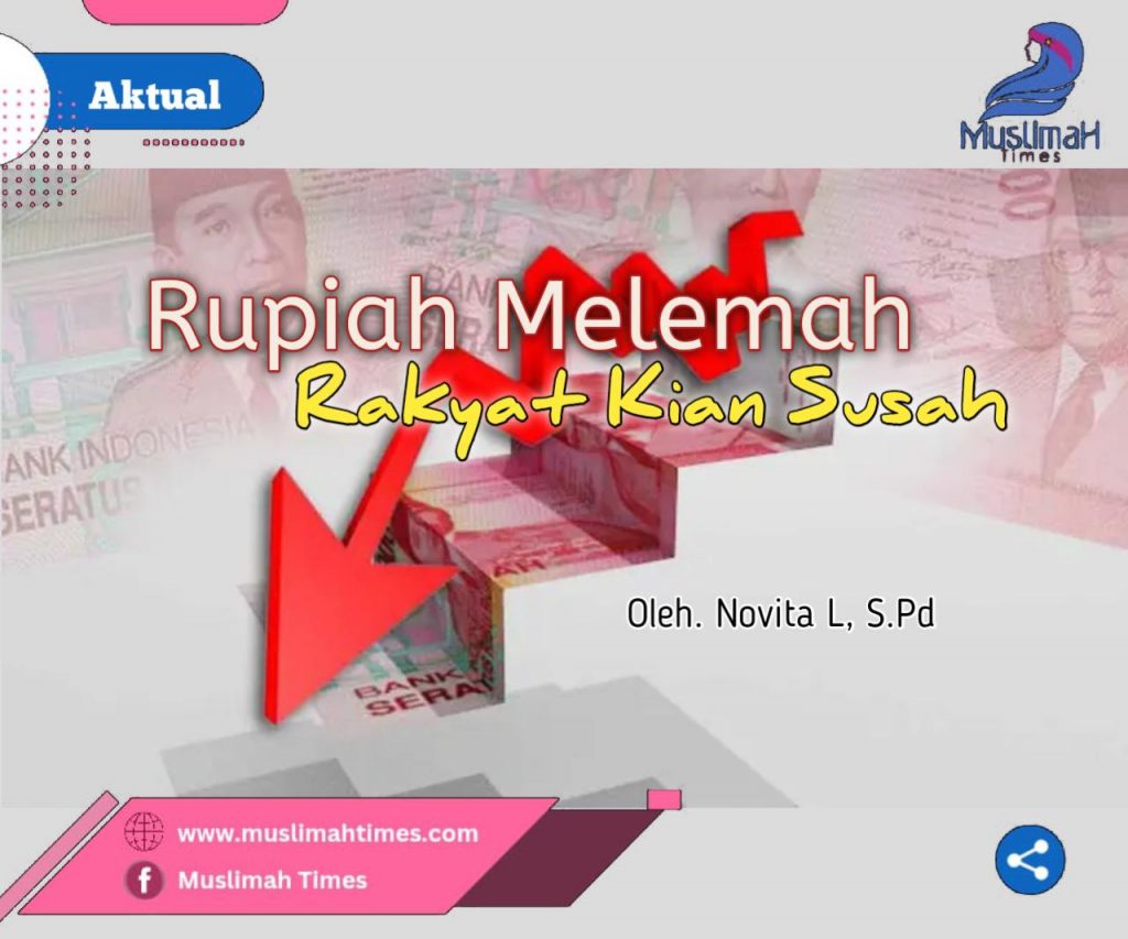 WhatsApp Image 2026-06-12 at 21.06.07