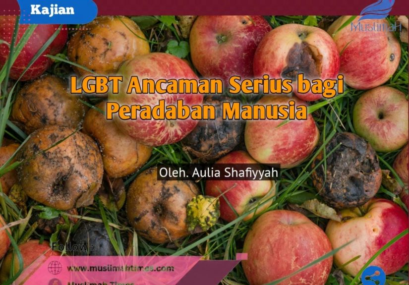 WhatsApp Image 2026-07-31 at 21.52.25