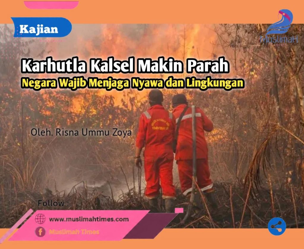 WhatsApp Image 2026-08-27 at 10.33.24