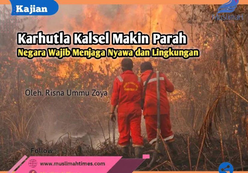 WhatsApp Image 2026-08-27 at 10.33.24