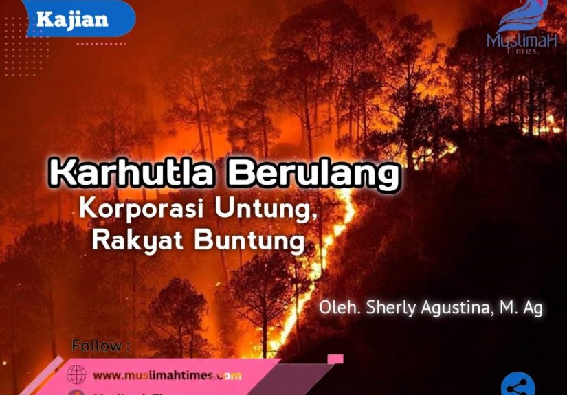 WhatsApp Image 2026-09-04 at 09.53.07
