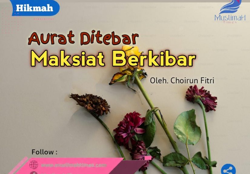 WhatsApp Image 2026-09-04 at 10.41.51