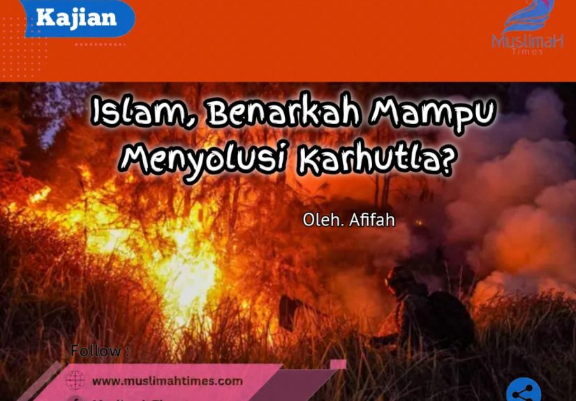 WhatsApp Image 2026-09-15 at 06.49.06